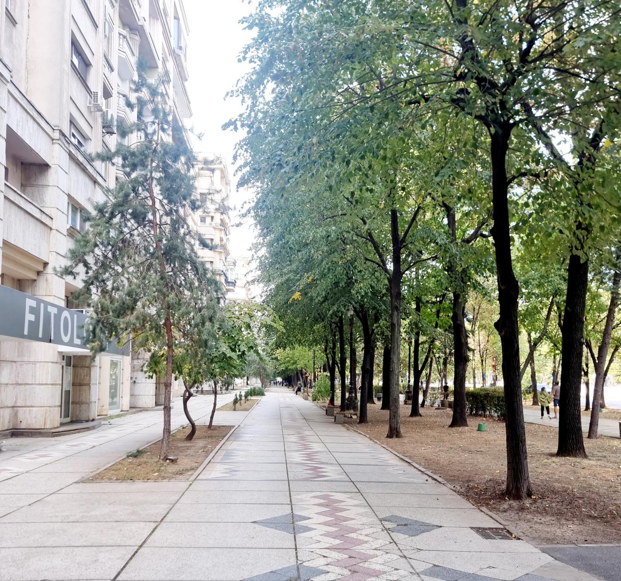 Tranquil Unirii Residence - Elegant & Spacious Living With Parking Steps From Parliament Bucharest Exterior photo